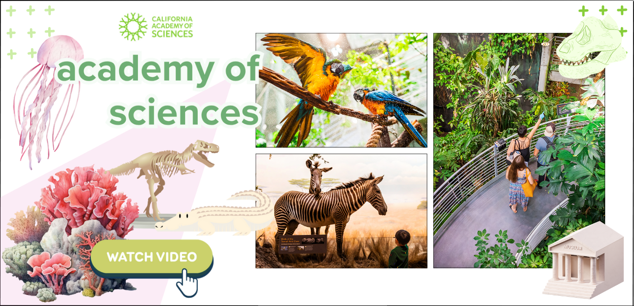 California Academy of Sciences