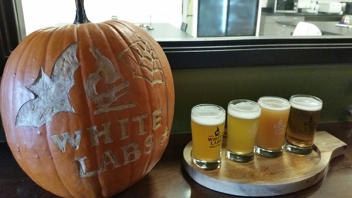 Pumpkin and beer
