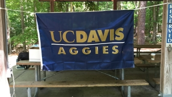 UC Davis flag 