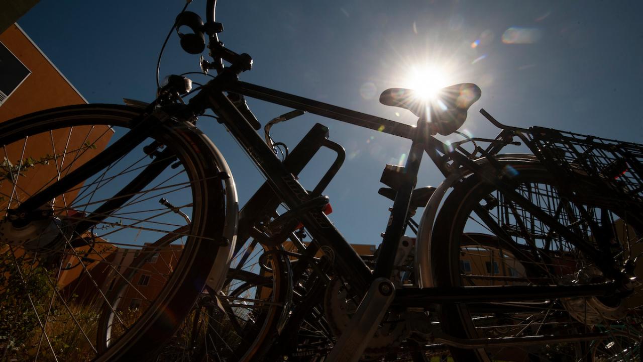 Bike in the sun on UC Davis' campus