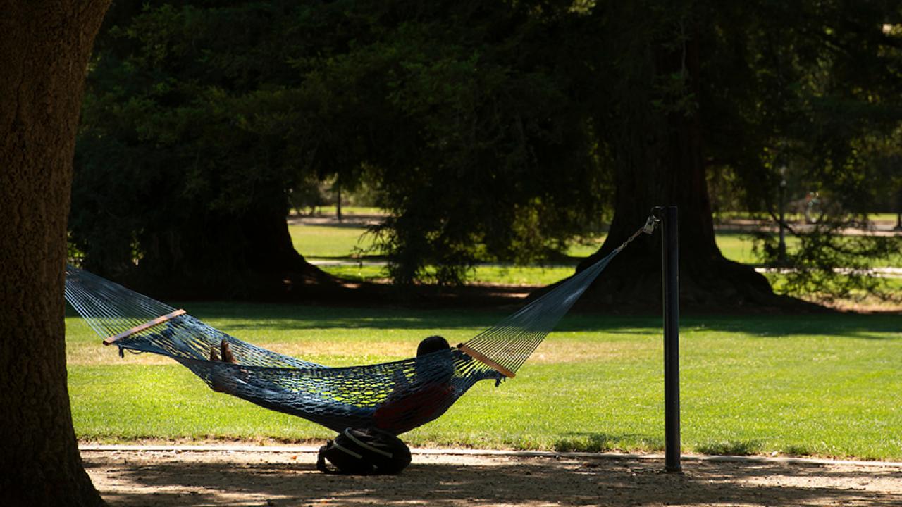UC Davis student relaxing in a hammock