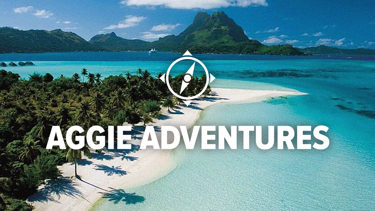 Beaches of French Polynesia