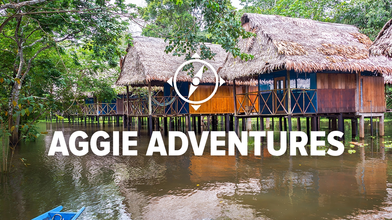 Elevated homes on the water in Iquitos.