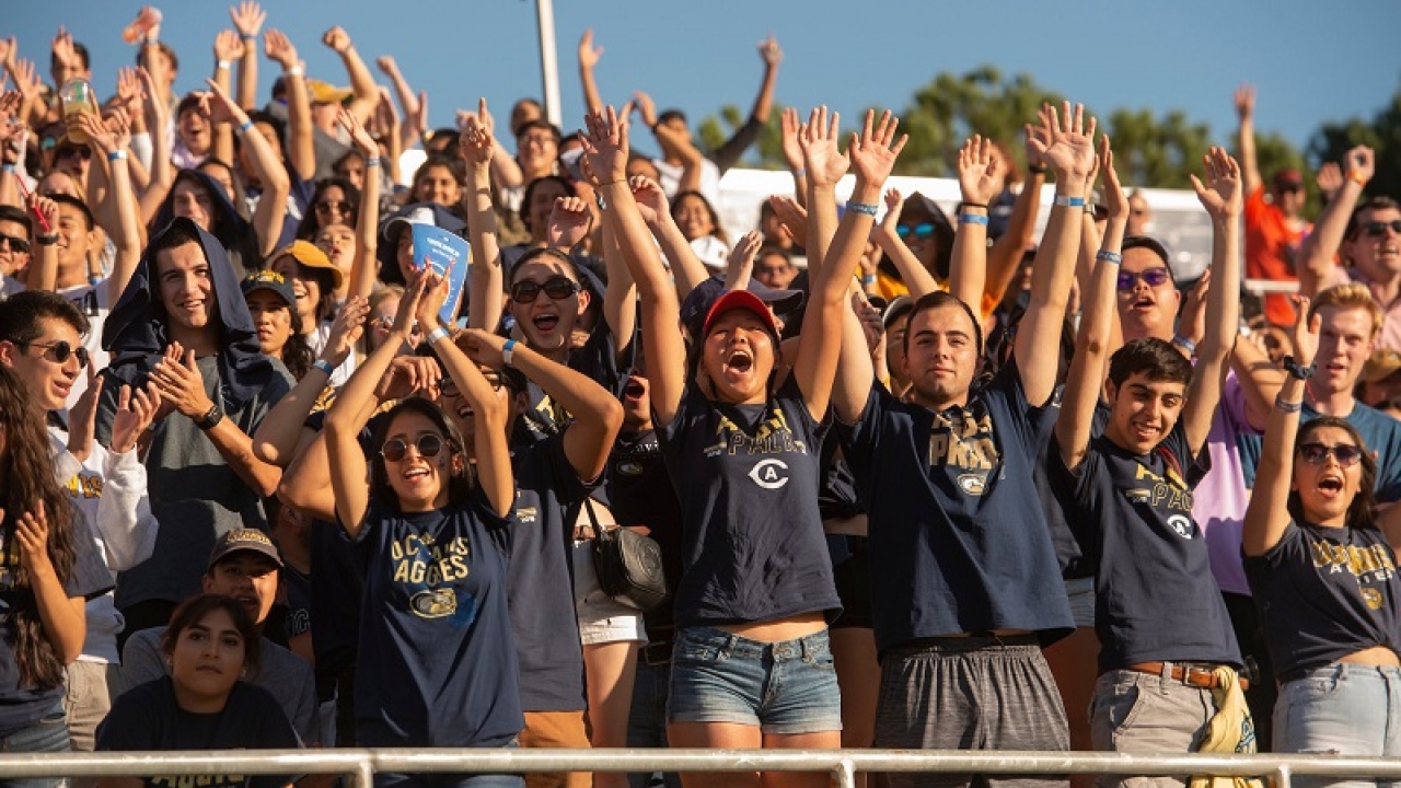 crowd cheering in stands