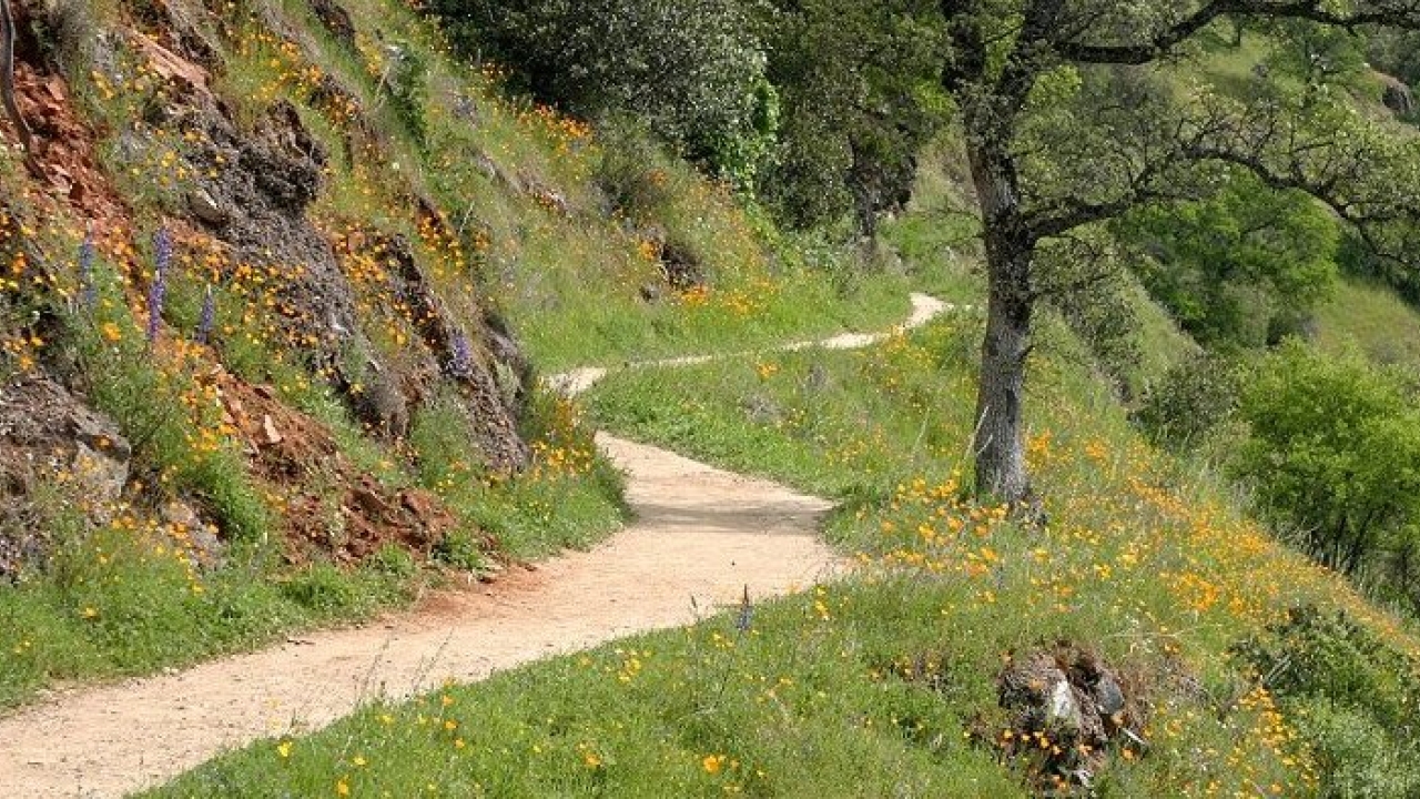 Hiking trail 