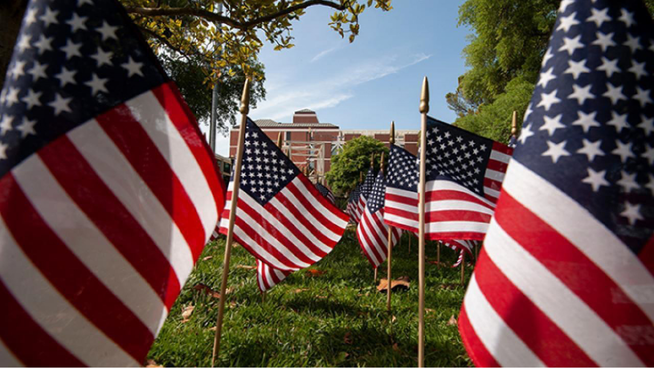 Flags on UC Davis campus