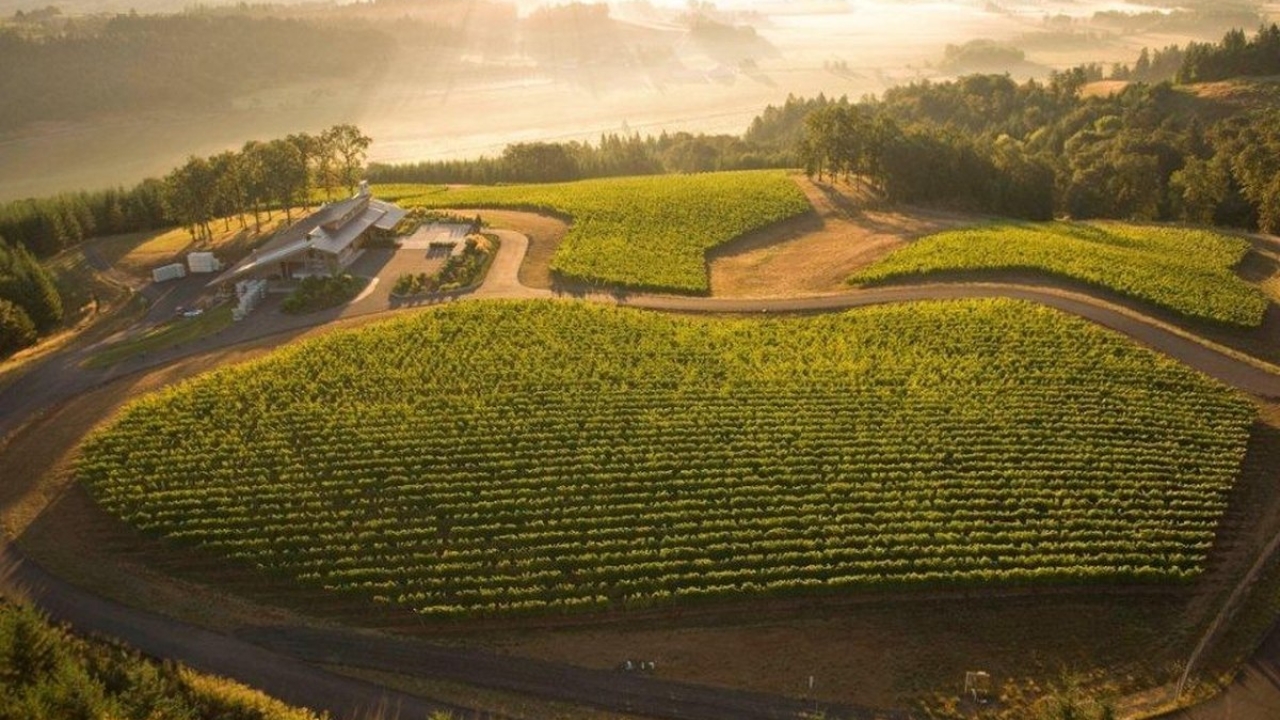 Penner-Ash Wine Cellars