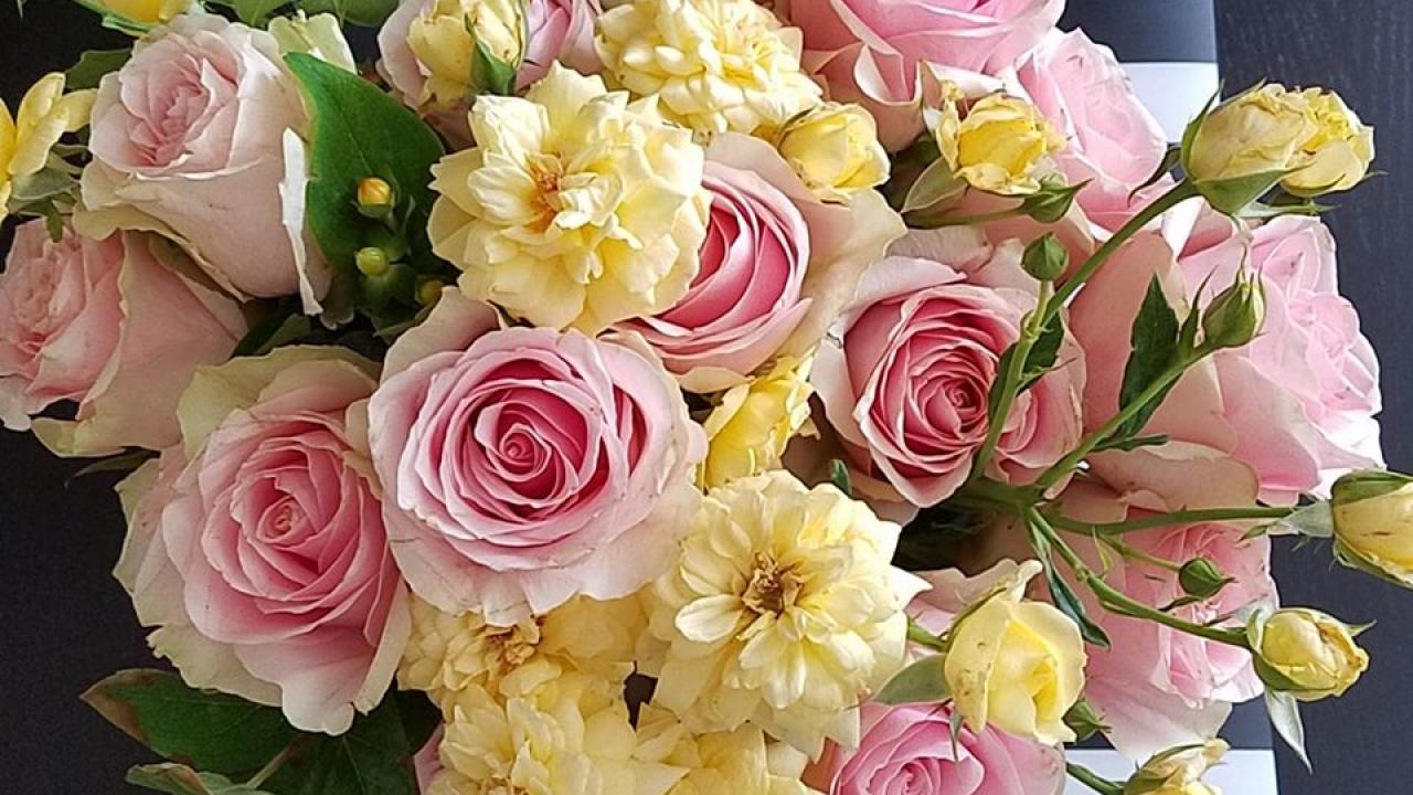 Picture of pink and yellow roses. 