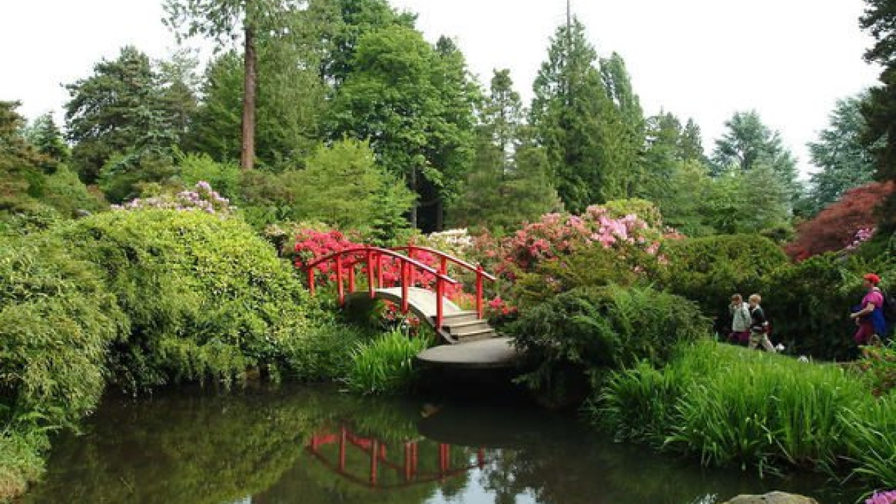 Pond, bridge and greenery