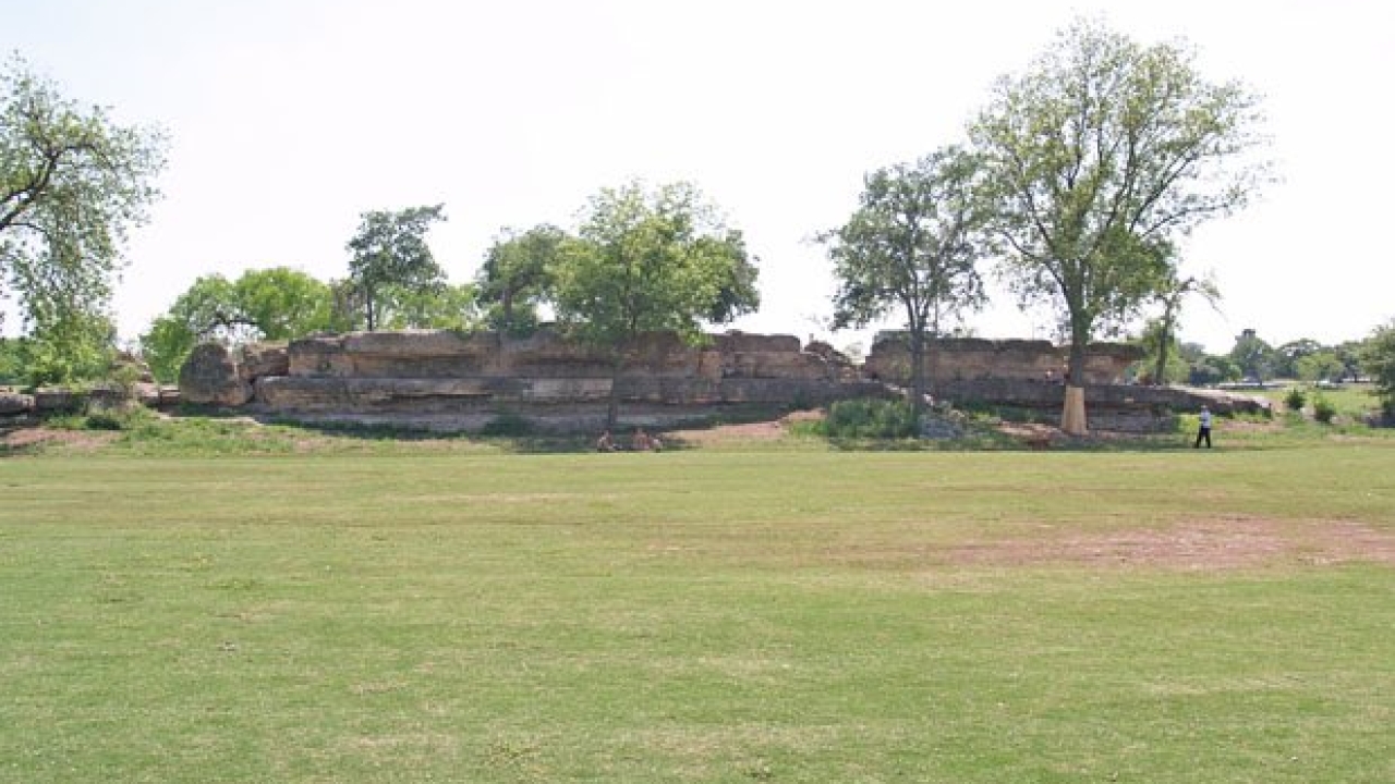 Photo of Zilker Park Lawn