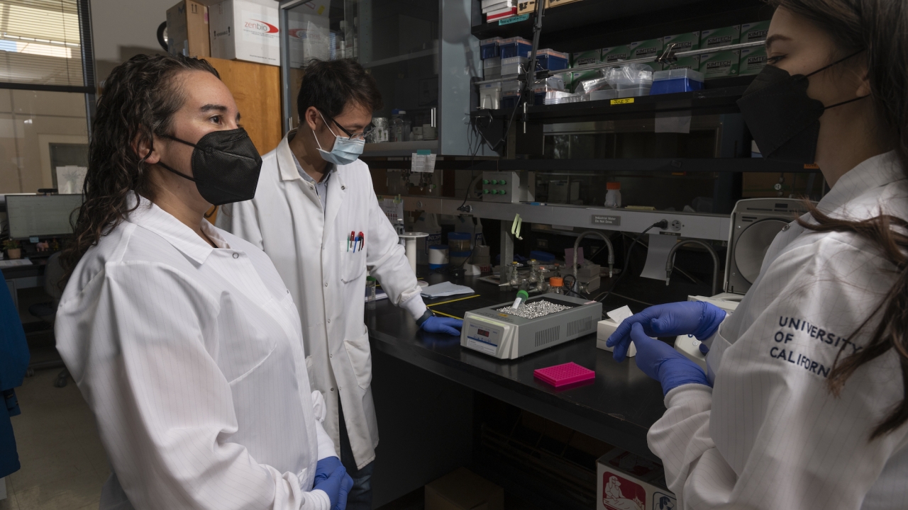 Chancellor’s Fellow and Assistant Professor of Environmental Toxicology Michele La Merrill provides her students with career-shaping lab experience studying environment related diseases in La Merrill Lab.