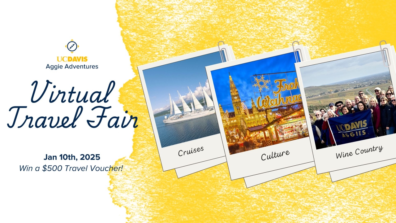 travel banner