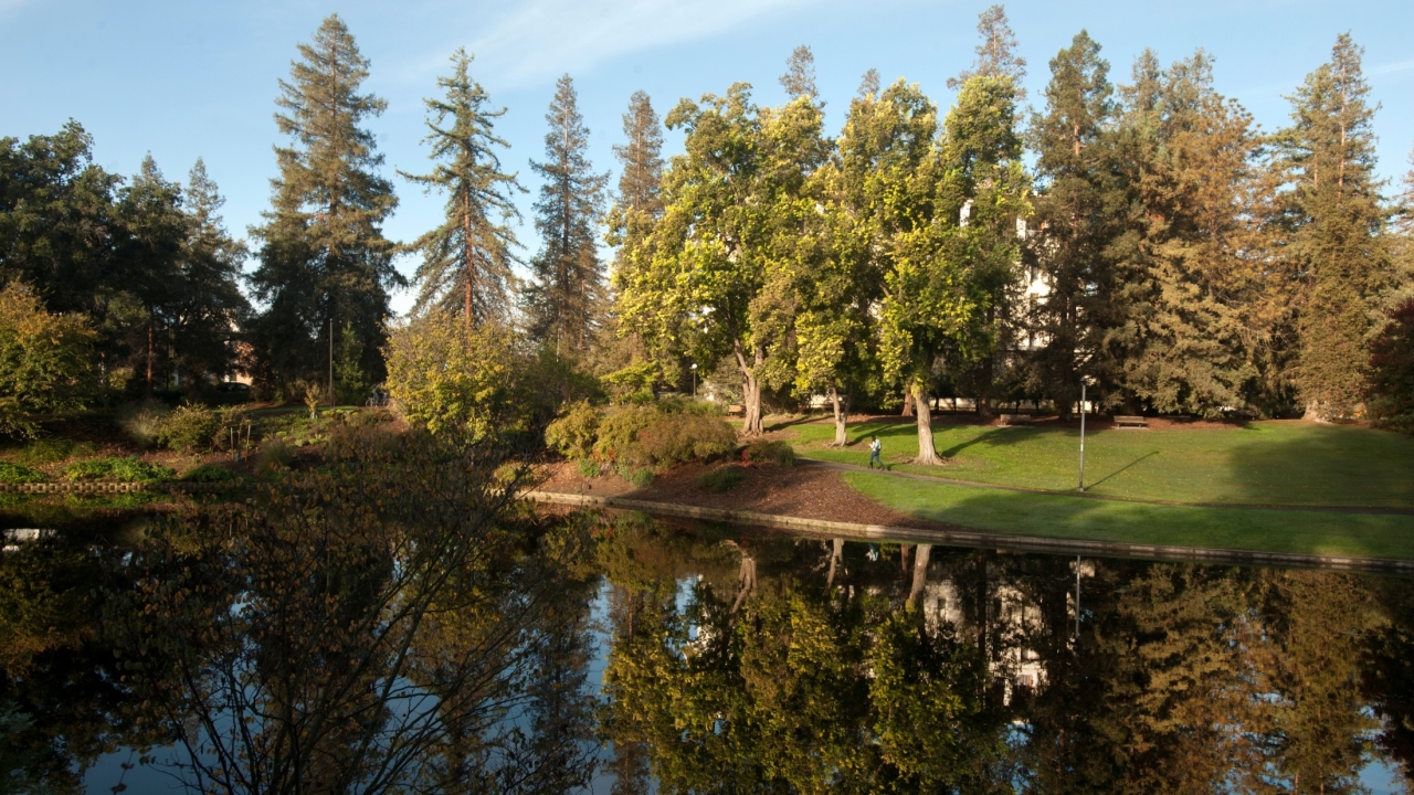 UC Davis Arboretum 