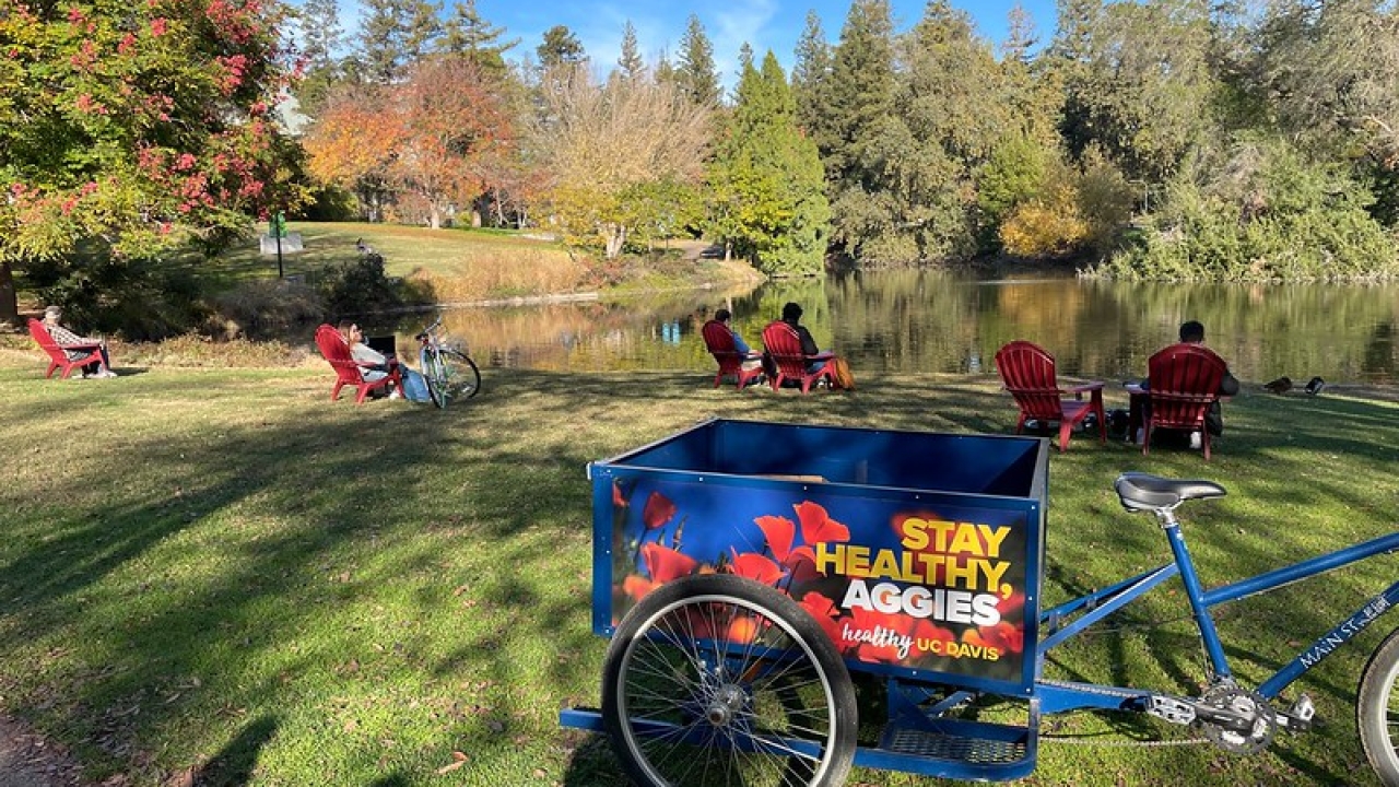 Chair Share in the UC Davis Arboretum!