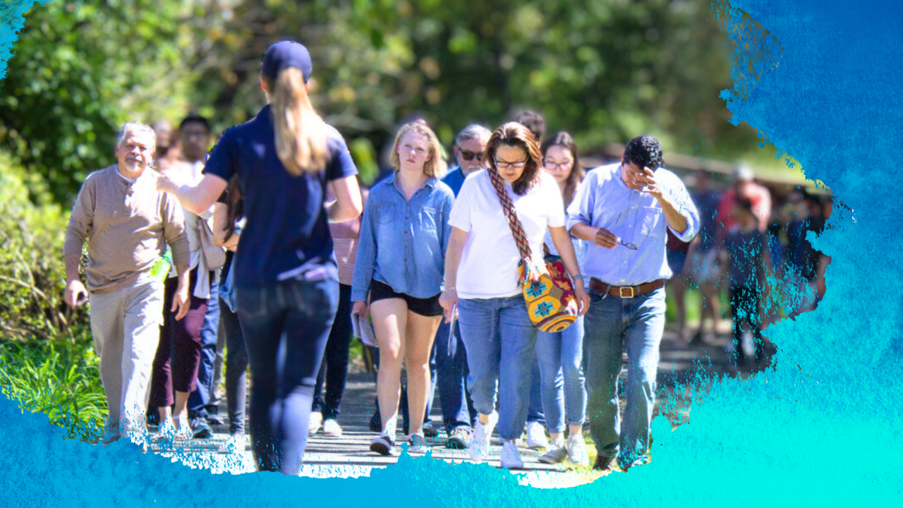 group of visitors walking through the arboretum