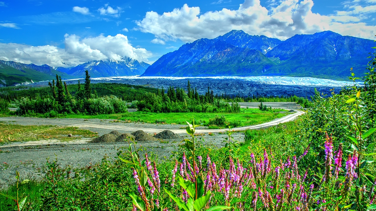 Beautiful view of the Matanuska Glacier surrounded by lush green fields and snow-capped mountains.