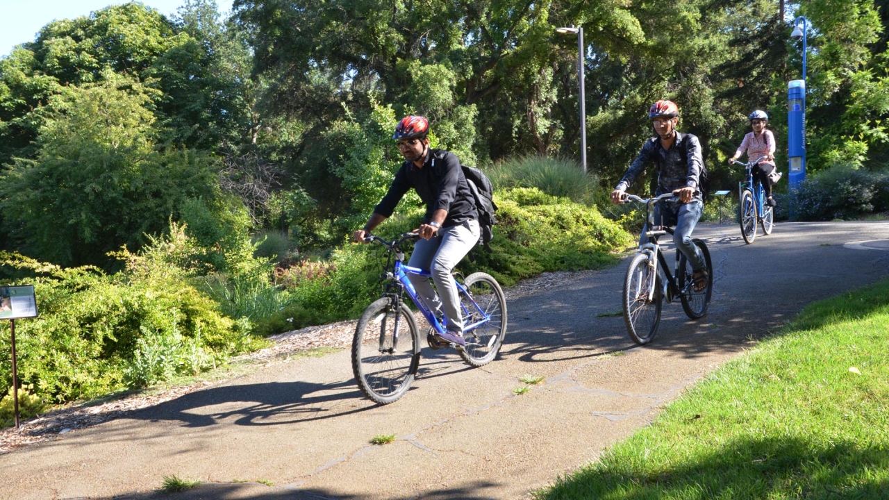 Bike tours