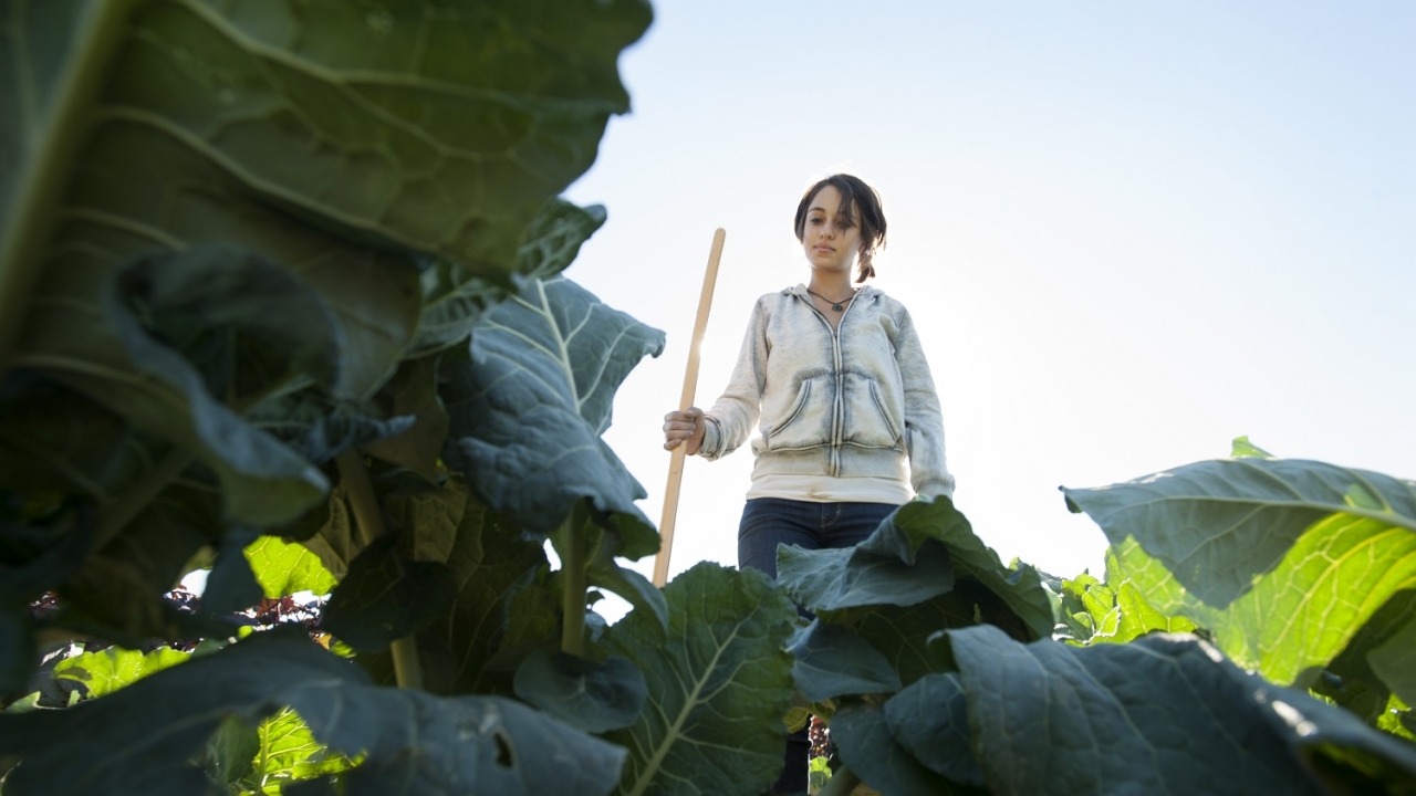 Student farmer standing in field with large vibrant leaves