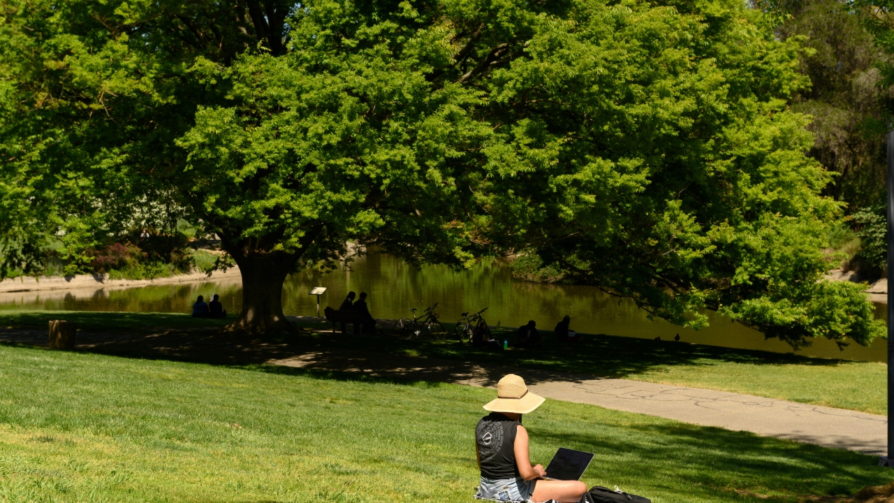 A woman sitting in the grass