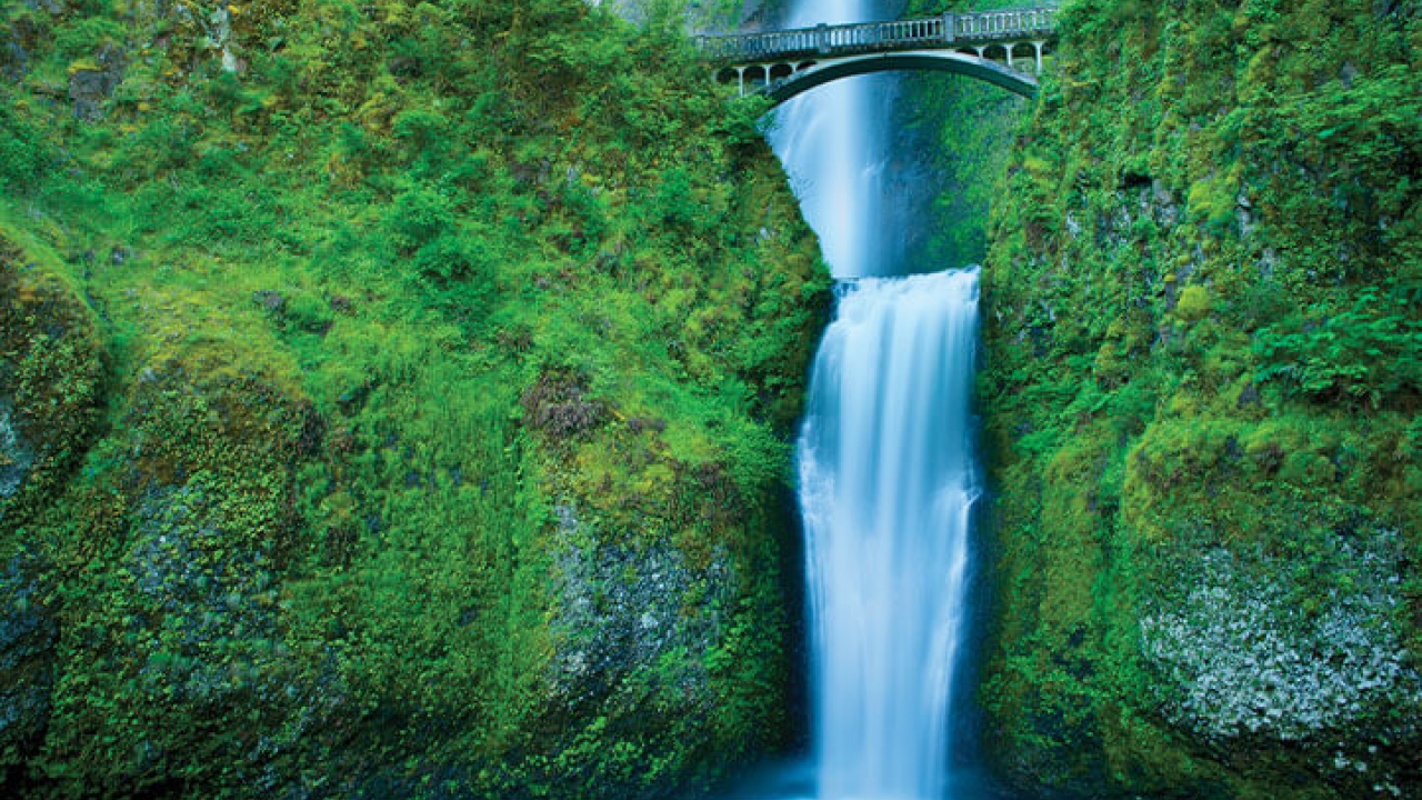 great pacific northwest