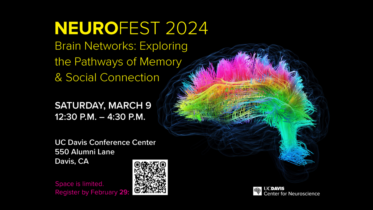 NeuroFest 2024 Flyer2