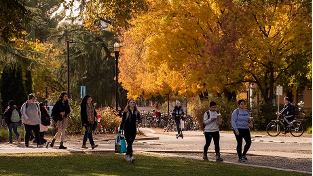 Students walk across campus with autumn colors in the tree on December 1, 2023.