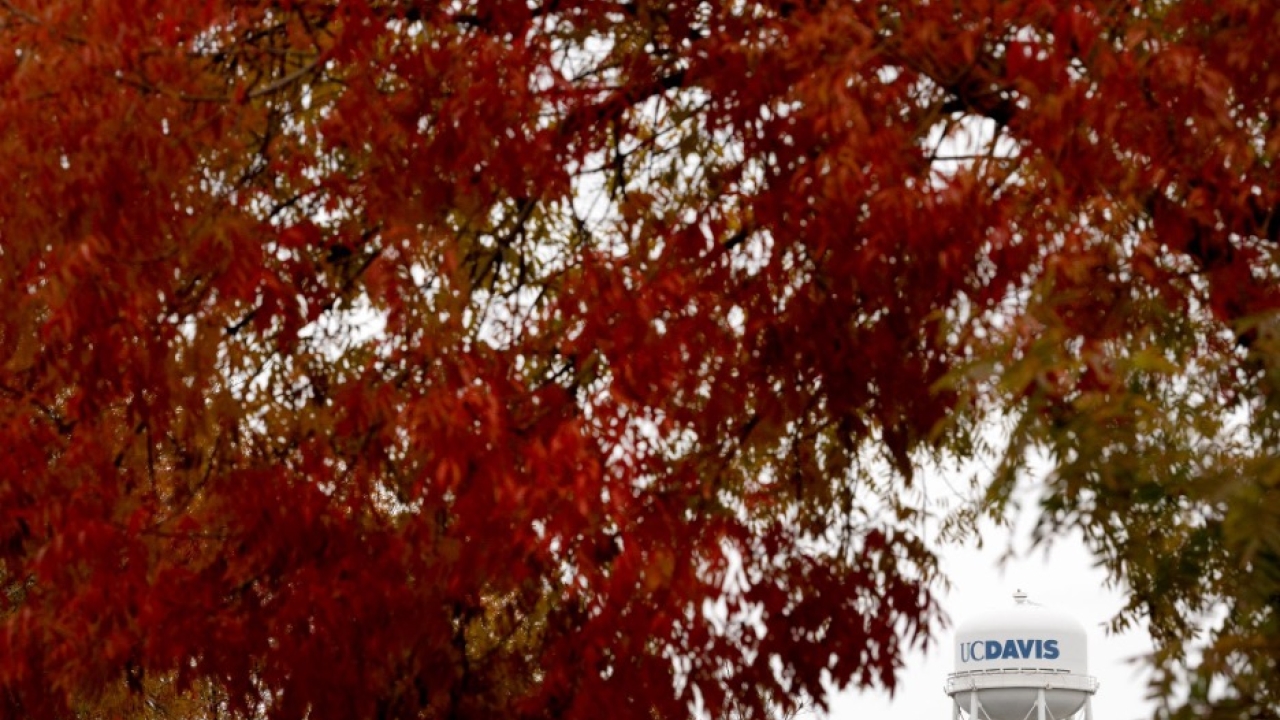 3 Tips to Support Career Development During the Winter Break