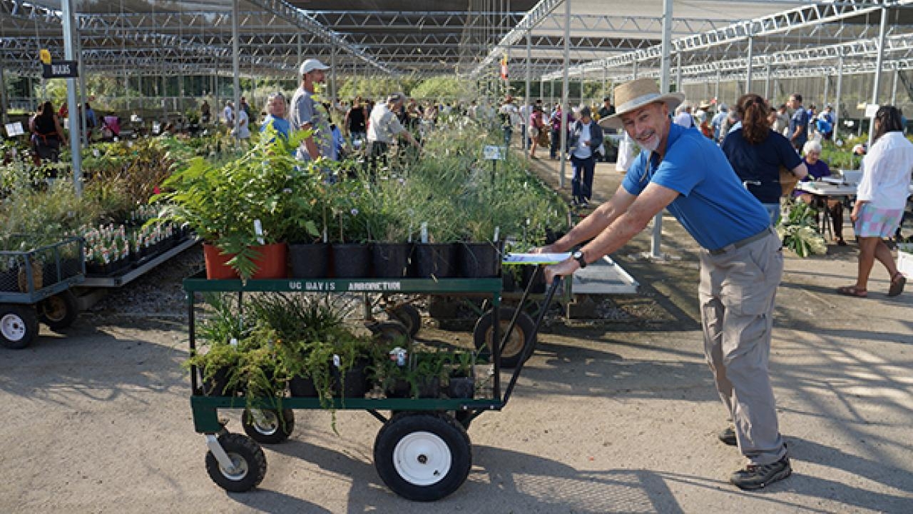 plants at the UC Davis Arboretum and Public Garden Plant Sale