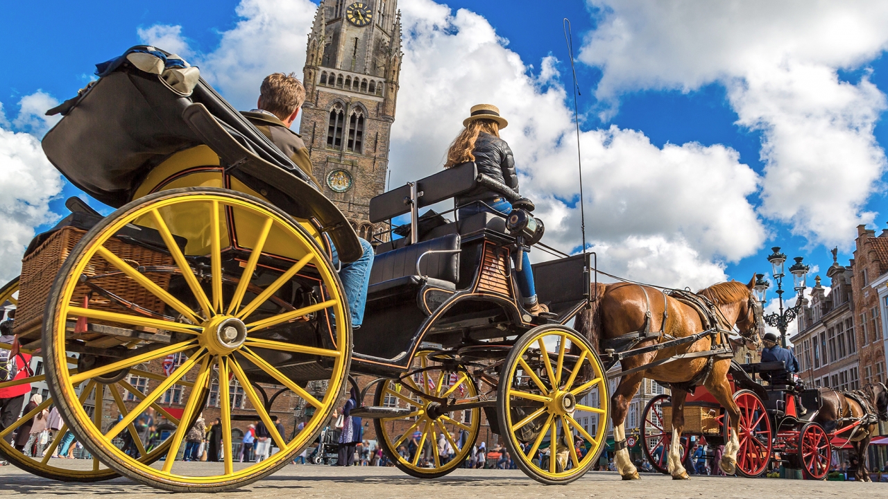 An alum traveler is pulled in a horse carriage while sight-seeing in Bruges.
