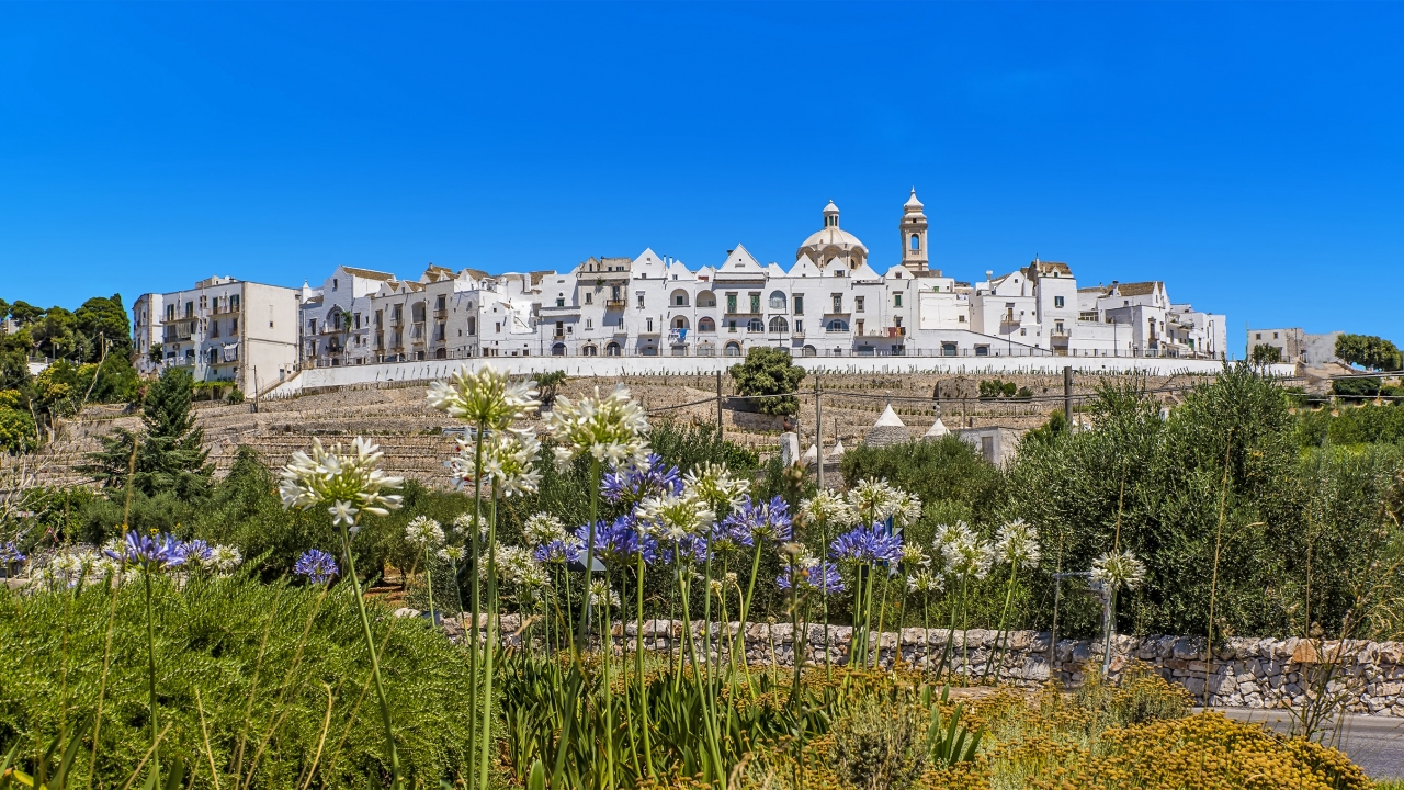 The white buildings of Locorontondo seen from outside the city walls among lillies of the nile and other vegetation.