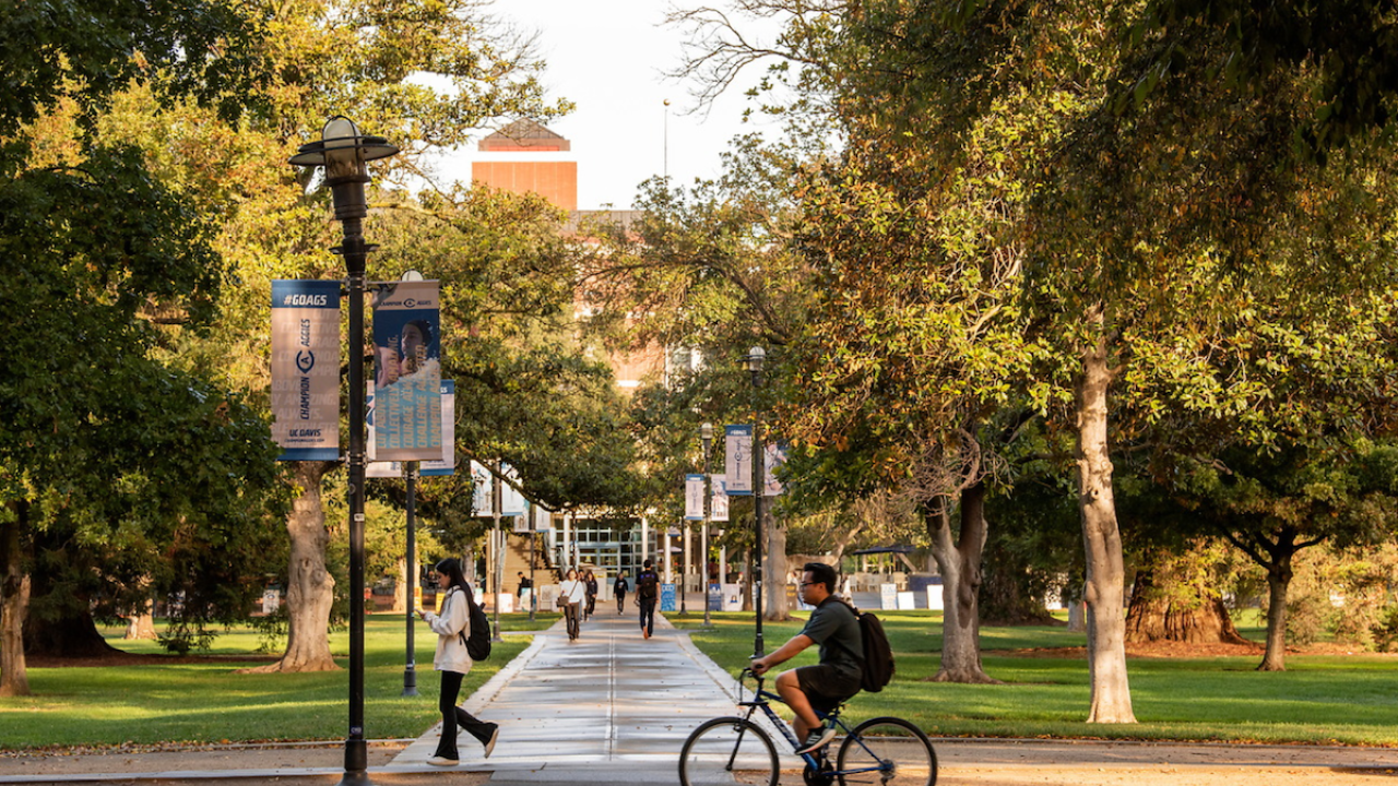 Students walk and ride across campus through the Quad.