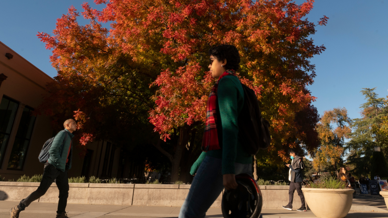 students walking with trees in the background