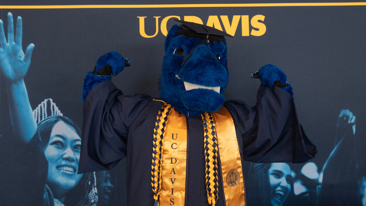 Gunrock posing as a recent graduate of UC Davis