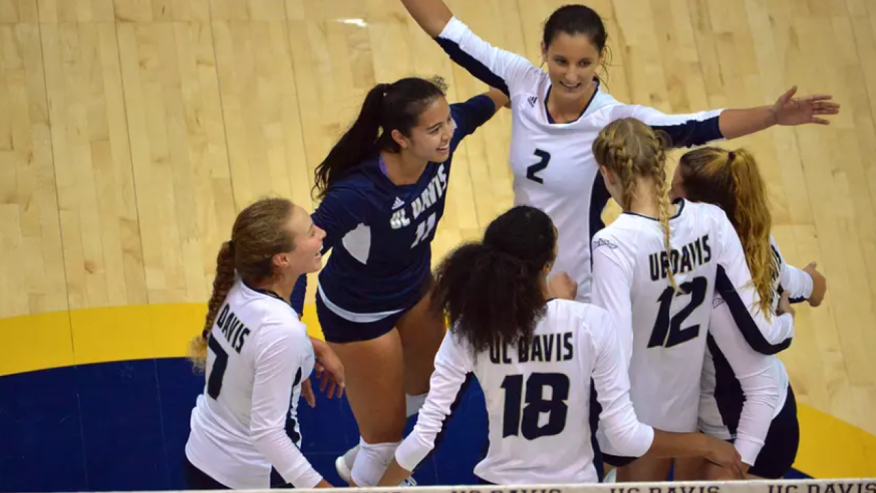 UCD women's volleyball wearing white kits celebrating a point during a match