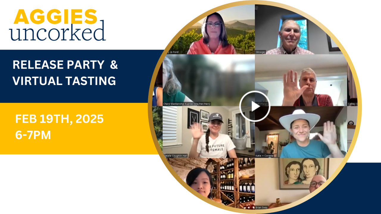 image banner of a virtual wine tasting