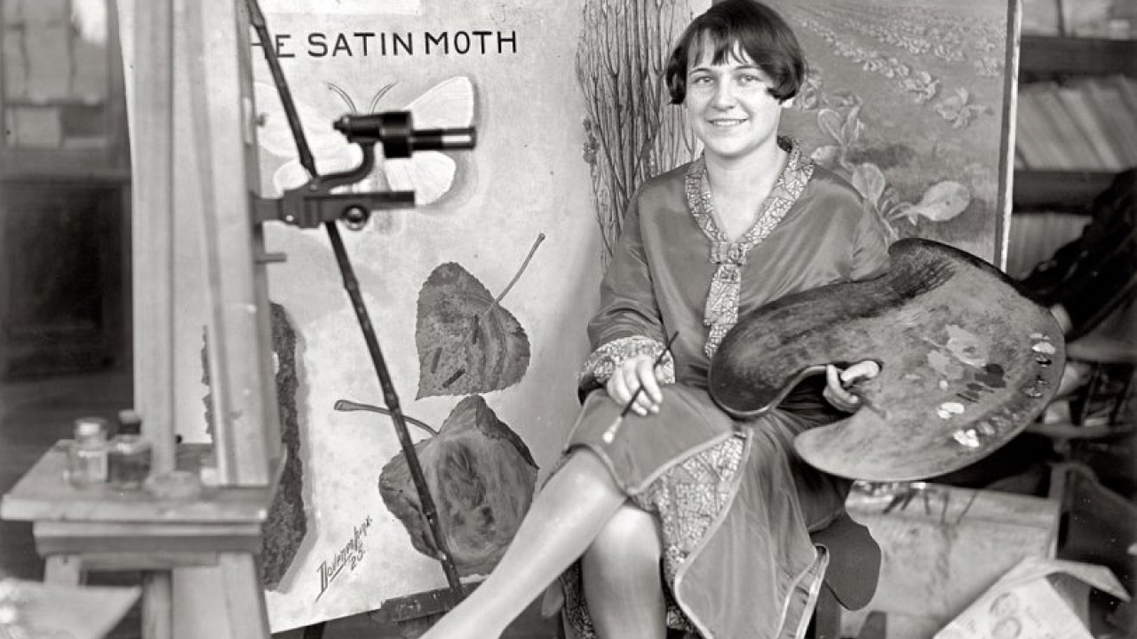 Plants, Insects and Art: Mary Foley Benson's Scientific Illustrations