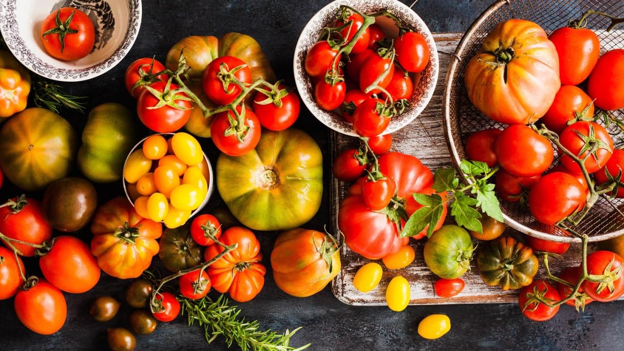 a collection of tomatoes at varying levels of ripeness