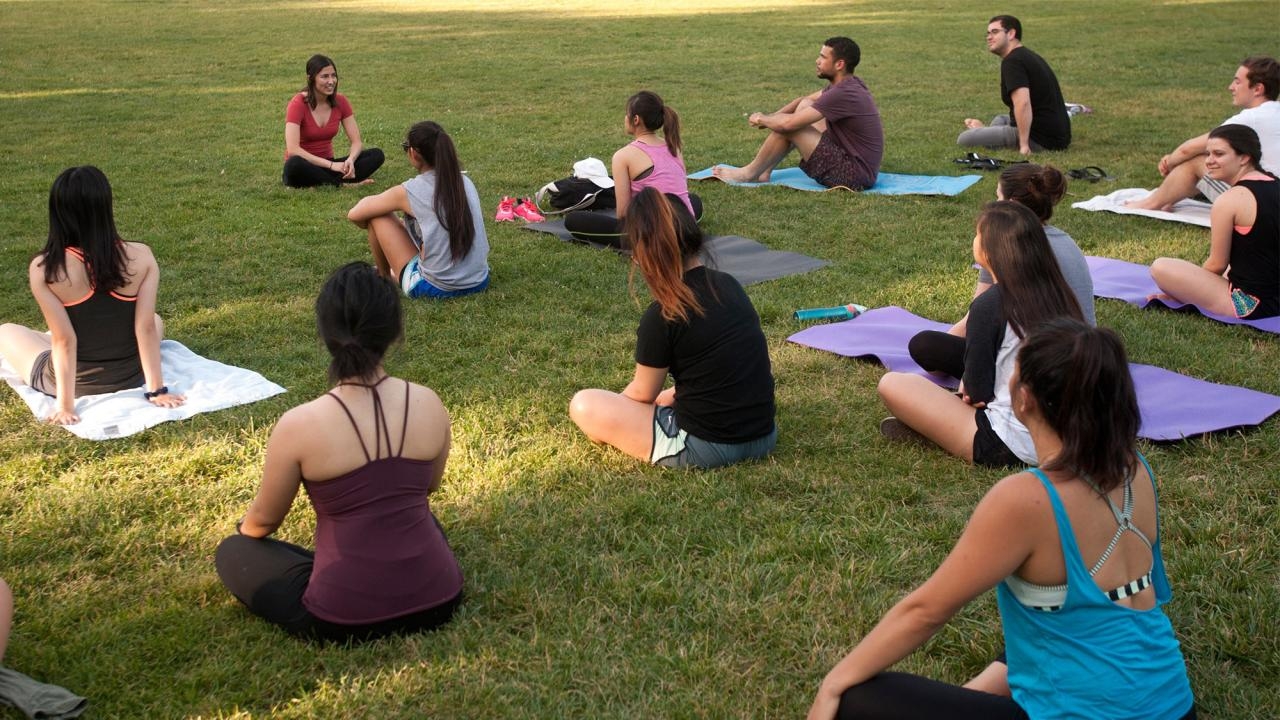 students sitting on the quad grass at uc davis