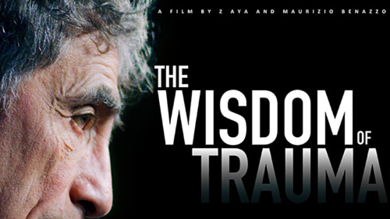 The Wisdom of Trauma written in grey text with the side profile of a man in the corner