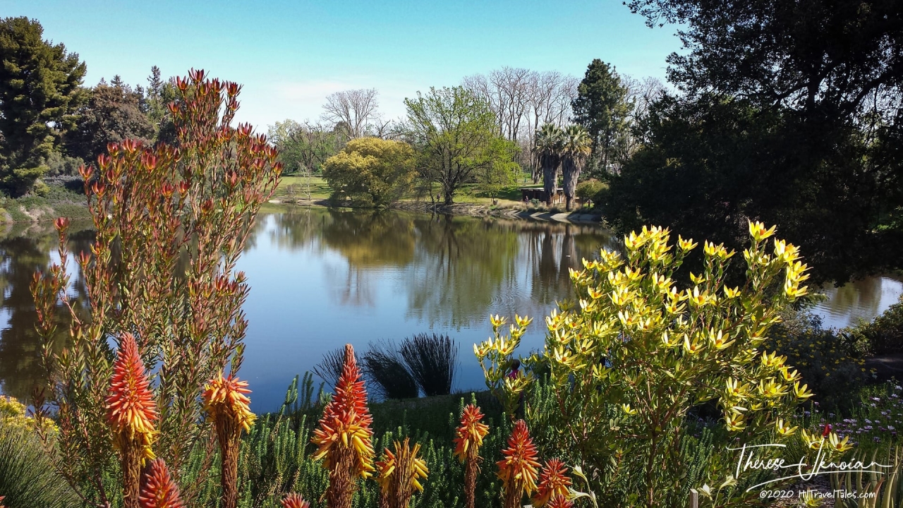 Arboretum Pond