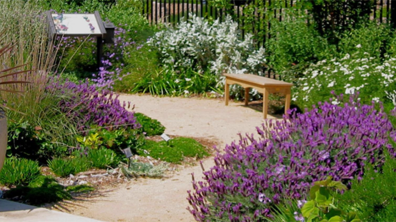 UC Davis Arboretum