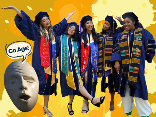 UC Davis alumni graduates