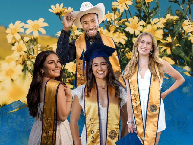 UC Davis alumni graduates