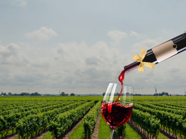 Wine bottle with a bow poured into a wine glass with a vineyard background