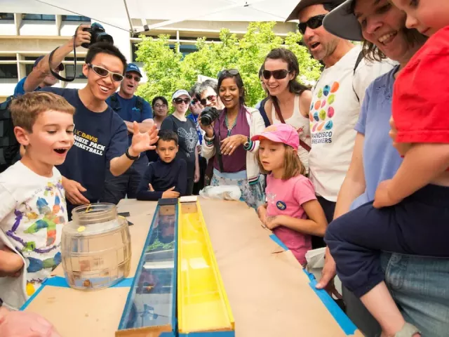 Children's Discovery Fair
