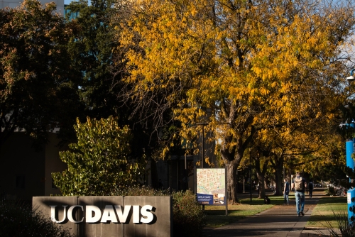 UC Davis Sign in Fall