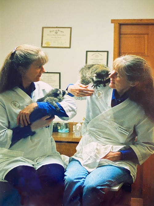 The sisters sit smiling on an exam table, one holds a baby raccoon in her arms and the other holds a second baby raccoon on her shoulder. 