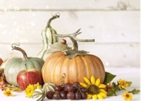 Pumpkins and gourds with a sunflower and grapes.