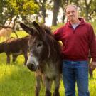 Person and donkey