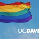 Rainbow flag with UC Davis logo